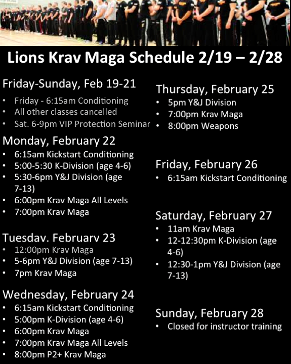 Lions Krav Maga modified law enforcement instructor course Krav Maga Global