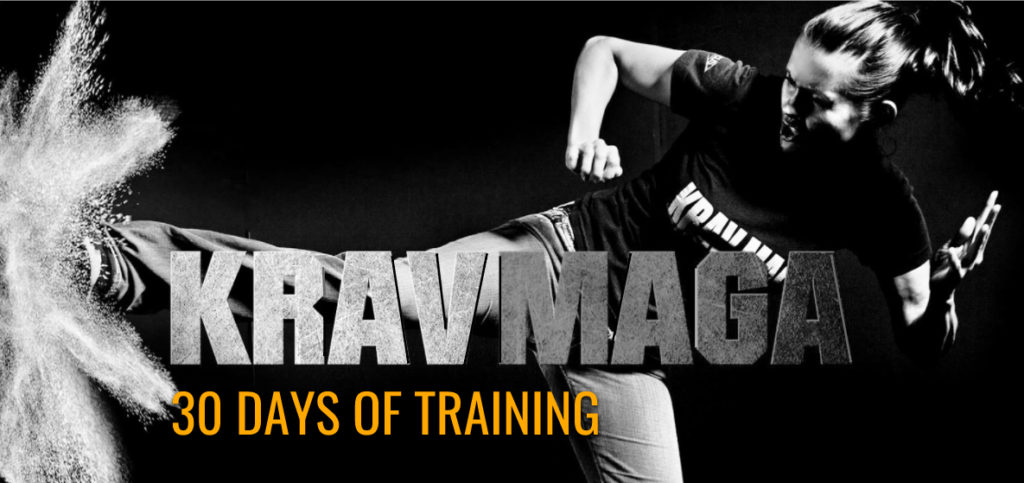 Lions Krav Maga 30 days of training New Years Challenge - Lions Krav ...