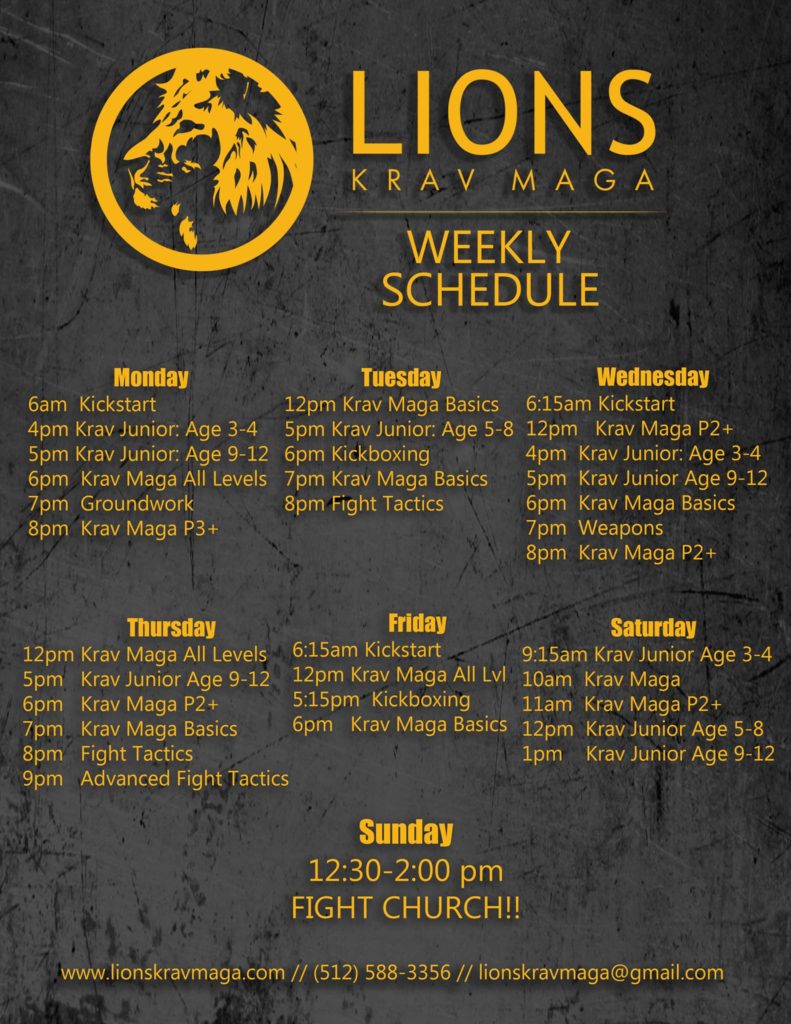 Lions Krav Maga 2017 Class Schedule
