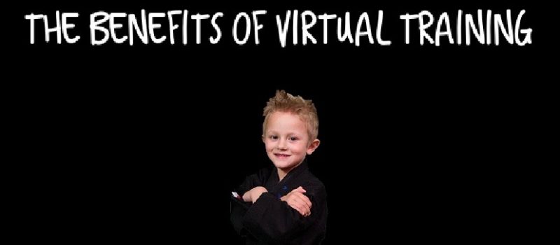 Lions Krav Maga Krav Junior The Benefits of Virtual Training
