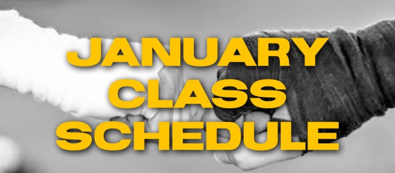 Lions Krav Maga January Class Schedule