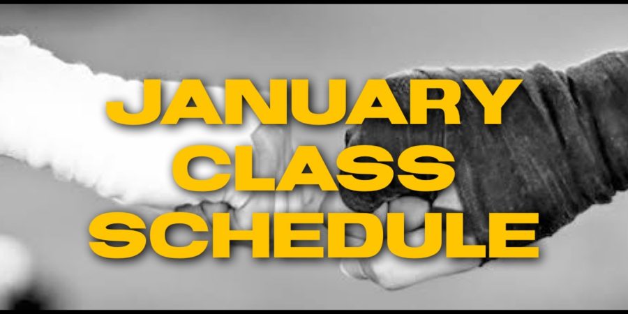 Lions Krav Maga January Class Schedule