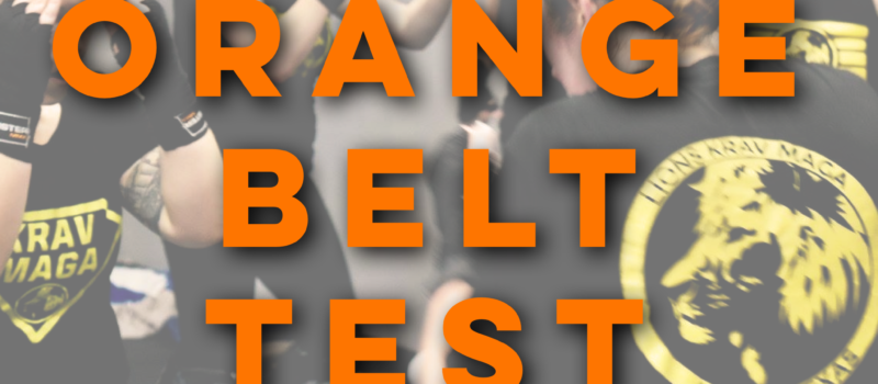 Lions Krav Maga Orange Belt Test