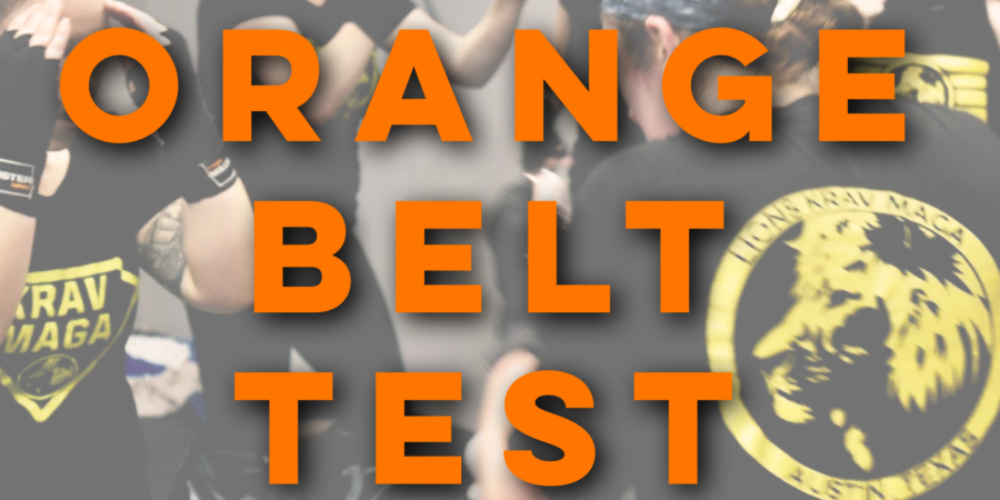 Lions Krav Maga Orange Belt Test