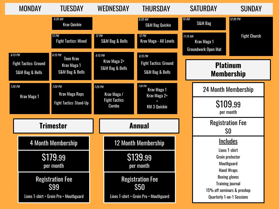 Lions Krav Maga schedule and prices Austin Tx